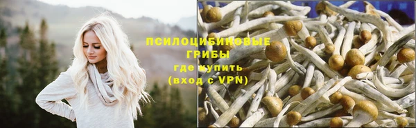 a pvp Баксан