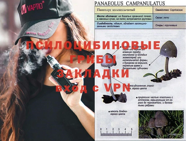 a pvp Баксан