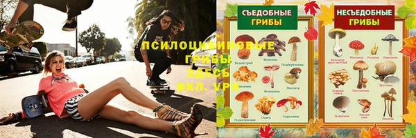 меф Майский