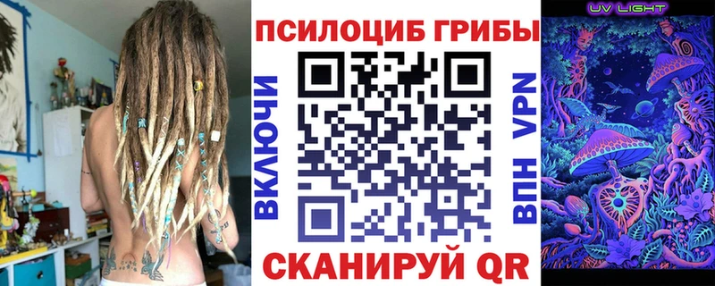 blacksprut ссылки  Ладушкин  Галлюциногенные грибы Psilocybe  площадка клад  где найти наркотики 